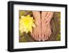 Pedicure and Manicure Spa with Beautiful Flowers-BVDC-Framed Photographic Print