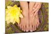 Pedicure and Manicure Spa with Beautiful Flowers-BVDC-Mounted Photographic Print