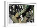 White Frame