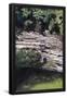 Essential Black