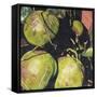 Canvas Black