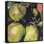 Canvas Black