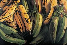 Green and Ripe Plantains, 2009-Pedro Diego Alvarado-Giclee Print