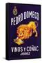 Pedro Domeco Vinos y Conac Jerez-null-Framed Stretched Canvas