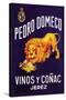 Pedro Domeco Vinos y Conac Jerez-null-Stretched Canvas