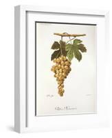 Pedro Mimenes Grape-A. Kreyder-Framed Giclee Print