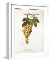 Pedro Mimenes Grape-A. Kreyder-Framed Giclee Print