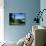 Peebles, Borders, Scotland, United Kingdom-Roy Rainford-Photographic Print displayed on a wall