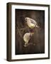 Peek a Boo Cedar Waxwings-Jai Johnson-Framed Giclee Print