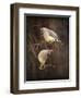 Peek a Boo Cedar Waxwings-Jai Johnson-Framed Giclee Print