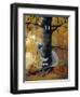 Peek A Boo Ghost & Jack O Lantern-sylvia pimental-Framed Art Print