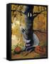 Peek A Boo Ghost & Jack O Lantern-sylvia pimental-Framed Stretched Canvas