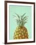 Peek A Boo Pineapple-LILA X LOLA-Framed Art Print