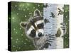 Peek-A-Boo Raccoon-William Vanderdasson-Stretched Canvas