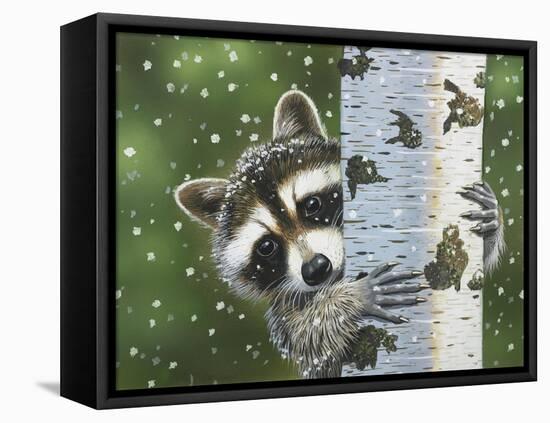 Peek-A-Boo Raccoon-William Vanderdasson-Framed Stretched Canvas