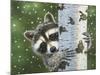 Peek-A-Boo Raccoon-William Vanderdasson-Mounted Giclee Print