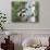 Peek-A-Boo Raccoon-William Vanderdasson-Giclee Print displayed on a wall