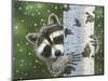 Peek-A-Boo Raccoon-William Vanderdasson-Mounted Giclee Print