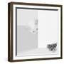 Peek a Boo-Jon Bertelli-Framed Art Print