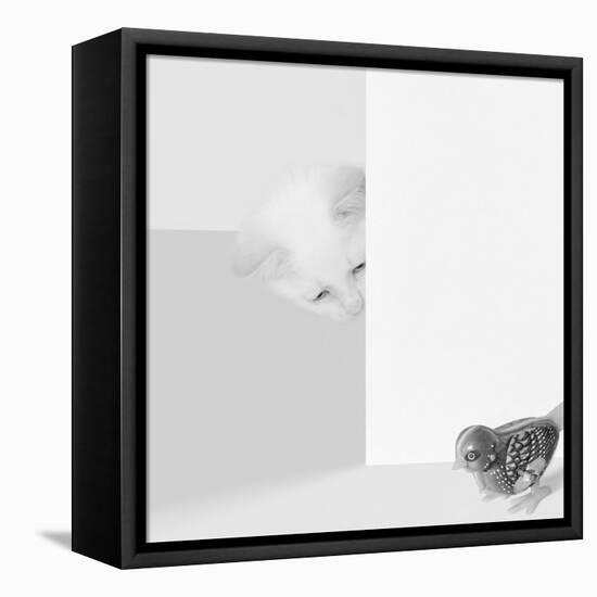 Peek a Boo-Jon Bertelli-Framed Stretched Canvas