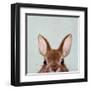 Peek a Boo-Lucia Heffernan-Framed Art Print