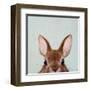 Peek a Boo-Lucia Heffernan-Framed Art Print