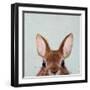 Peek a Boo-Lucia Heffernan-Framed Art Print