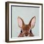 Peek a Boo-Lucia Heffernan-Framed Art Print