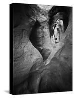 Peekaboo Canyon Grand Staircase Escalante National Monument Utah-Laurent Baig-Stretched Canvas