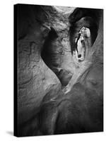 Peekaboo Canyon Grand Staircase Escalante National Monument Utah-Laurent Baig-Stretched Canvas