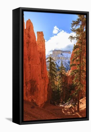 Peekaboo Loop Trail Switchbacks Wind Through Hoodoos Lit by Early Morning Sun in Winter-Eleanor Scriven-Framed Stretched Canvas