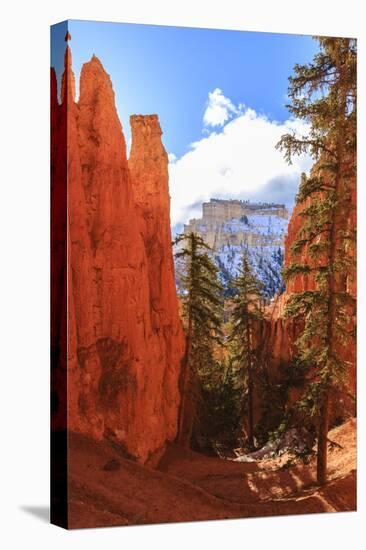 Peekaboo Loop Trail Switchbacks Wind Through Hoodoos Lit by Early Morning Sun in Winter-Eleanor Scriven-Stretched Canvas