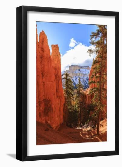 Peekaboo Loop Trail Switchbacks Wind Through Hoodoos Lit by Early Morning Sun in Winter-Eleanor Scriven-Framed Photographic Print