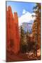 Peekaboo Loop Trail Switchbacks Wind Through Hoodoos Lit by Early Morning Sun in Winter-Eleanor Scriven-Mounted Photographic Print