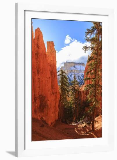 Peekaboo Loop Trail Switchbacks Wind Through Hoodoos Lit by Early Morning Sun in Winter-Eleanor Scriven-Framed Photographic Print