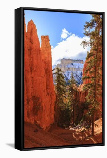 Peekaboo Loop Trail Switchbacks Wind Through Hoodoos Lit by Early Morning Sun in Winter-Eleanor Scriven-Framed Stretched Canvas