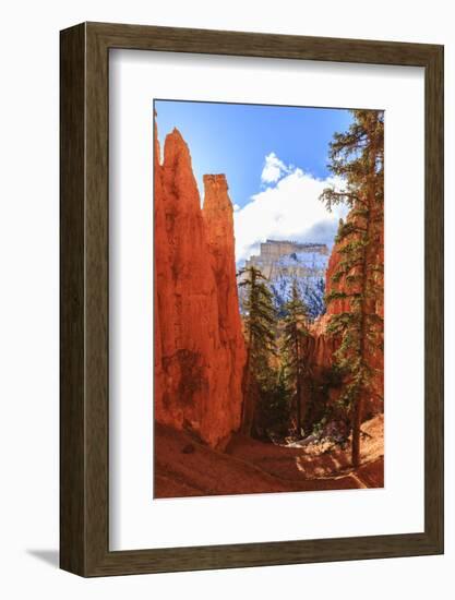 Peekaboo Loop Trail Switchbacks Wind Through Hoodoos Lit by Early Morning Sun in Winter-Eleanor Scriven-Framed Photographic Print