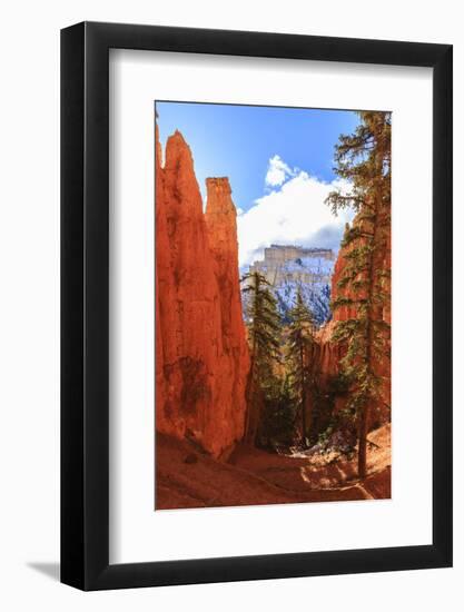 Peekaboo Loop Trail Switchbacks Wind Through Hoodoos Lit by Early Morning Sun in Winter-Eleanor Scriven-Framed Photographic Print