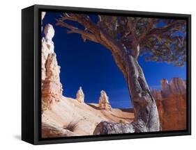 Peekaboo Trail in Bryce Canyon National Park, Utah, USA-Kober Christian-Framed Stretched Canvas