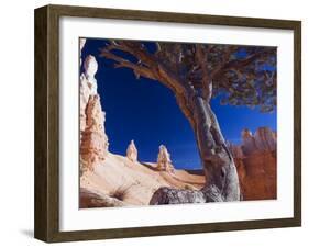 Peekaboo Trail in Bryce Canyon National Park, Utah, USA-Kober Christian-Framed Photographic Print