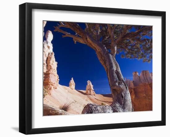 Peekaboo Trail in Bryce Canyon National Park, Utah, USA-Kober Christian-Framed Photographic Print