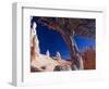 Peekaboo Trail in Bryce Canyon National Park, Utah, USA-Kober Christian-Framed Photographic Print