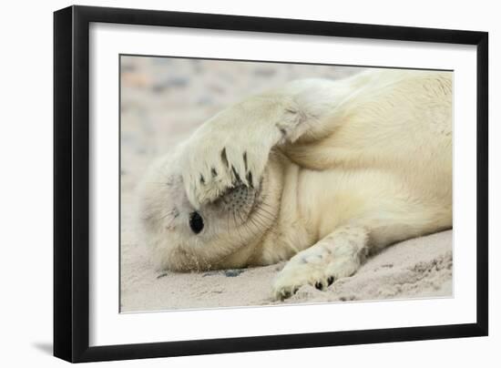 Peekaboo-Hillebrand Breuker-Framed Photographic Print