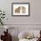 Peekapoo (Pekingese X Poodle) Puppy and Sandy Lop Rabbit-Mark Taylor-Framed Photographic Print displayed on a wall