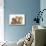 Peekapoo (Pekingese X Poodle) Puppy, Ginger Kitten and Sandy Lop Rabbit, Sitting Together-Mark Taylor-Mounted Photographic Print displayed on a wall