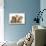 Peekapoo Puppy, Ginger Kitten and Sandy Lop Rabbit-Mark Taylor-Stretched Canvas displayed on a wall