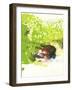 Peeking Through II-Joyce Combs-Framed Art Print