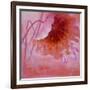 Peeking-Ailian Price-Framed Premium Giclee Print