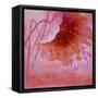 Peeking-Ailian Price-Framed Stretched Canvas