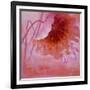 Peeking-Ailian Price-Framed Art Print